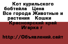 Кот курильского бобтейла › Цена ­ 5 000 - Все города Животные и растения » Кошки   . Красноярский край,Игарка г.